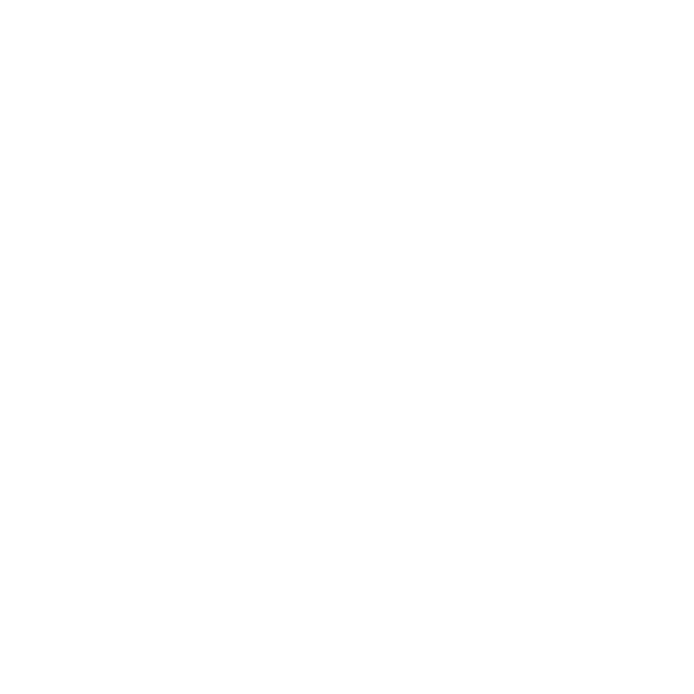 Diagnostic nuisibles complet et professionnel.