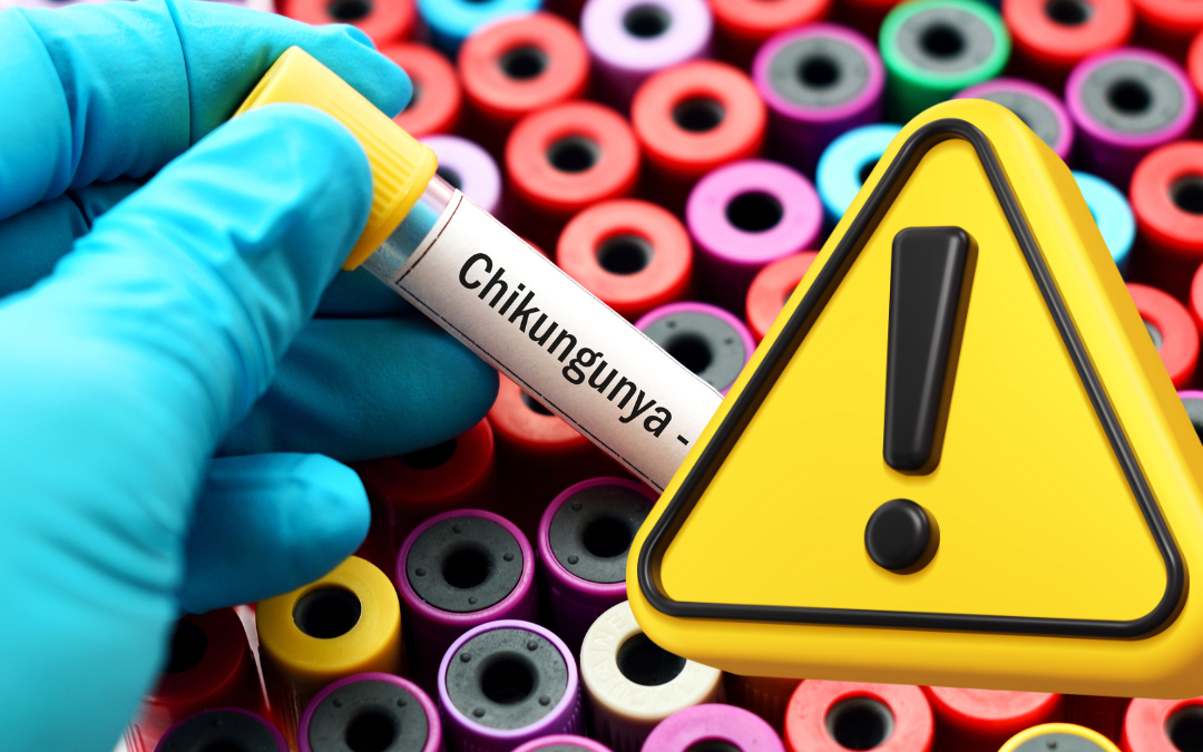 Chinkungunya : une percée inquiétante en France métropolitaine