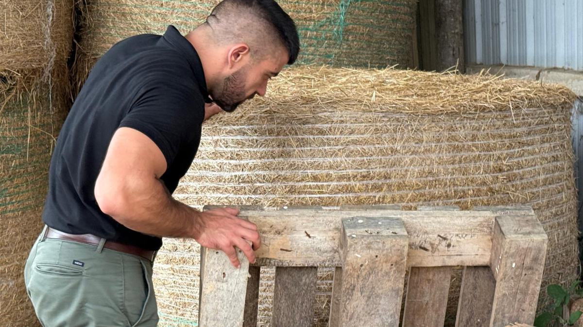 C'est quoi la dératisation professionnelle ? On vous explique tout !