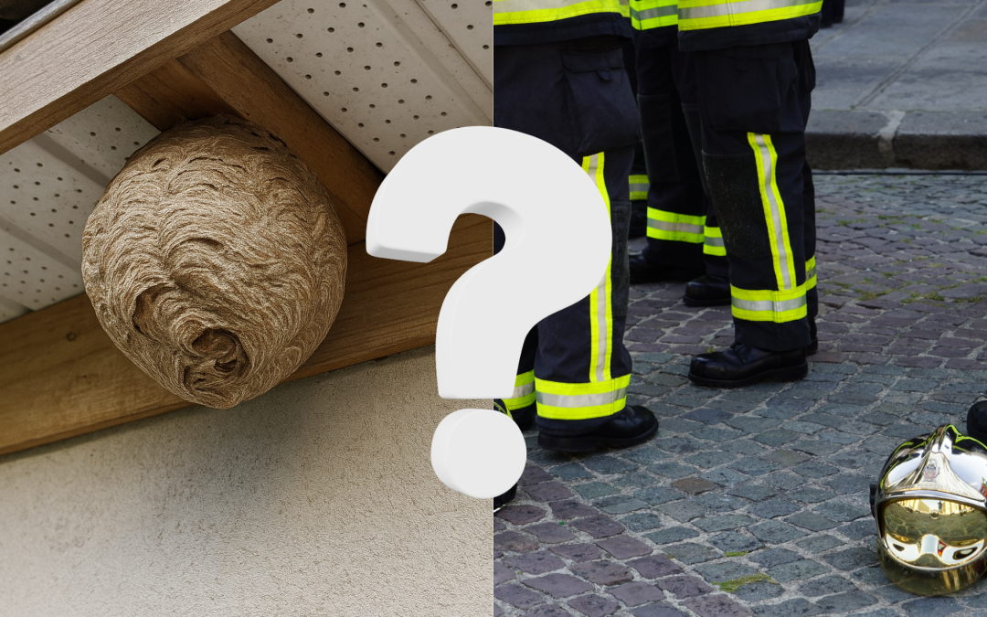 Est-ce que les pompiers s’occupent des nids de frelons ?