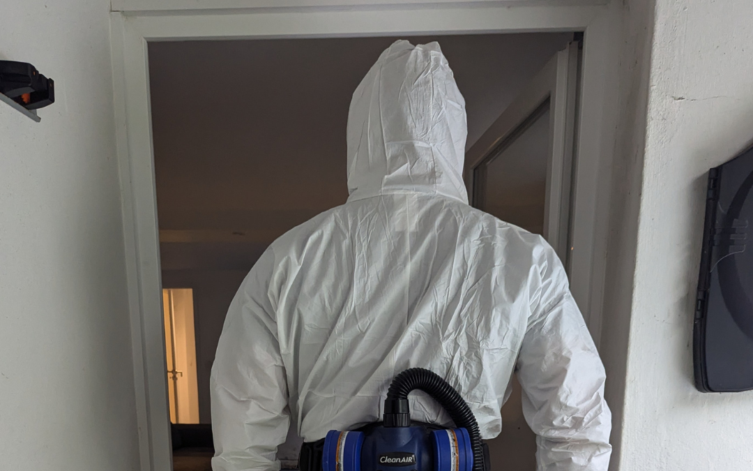 Formation Interventions Nuisibles : nos équipes à Mourenx