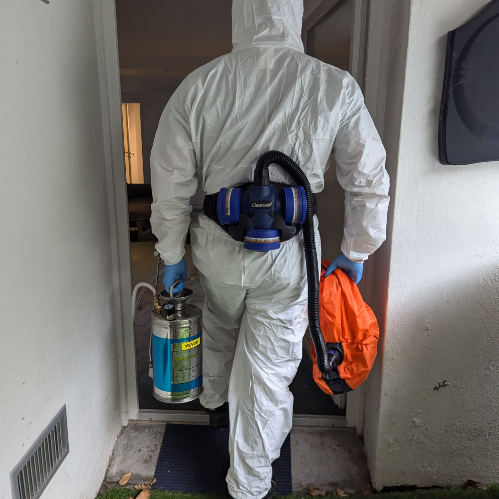 Un équipier IN en tenue complète pour une désinfection puces.