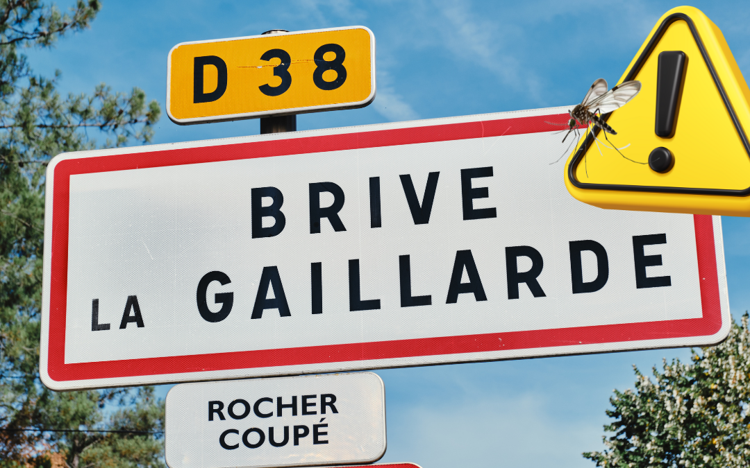 Innovation : une solution anti-moustiques à Brive déployée